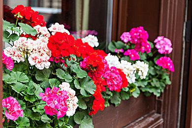 ARPG《联合会：锋芒初露》上架Steam 前育碧COD精英打造